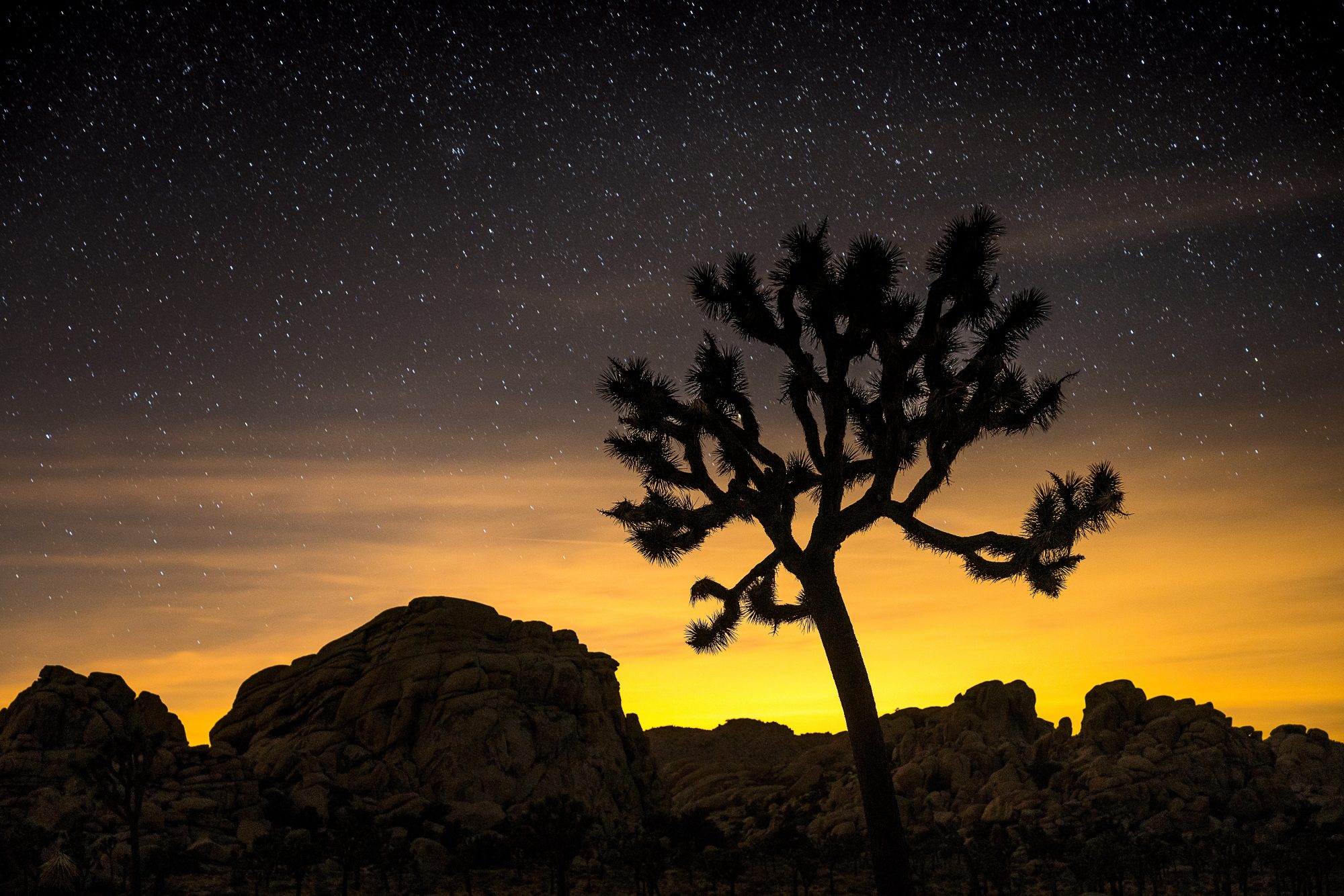 astrophotography long exposure of stars in joshua tree national park | photo by jake landon schwartz